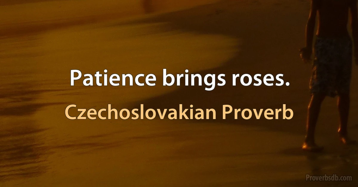 Patience brings roses. (Czechoslovakian Proverb)