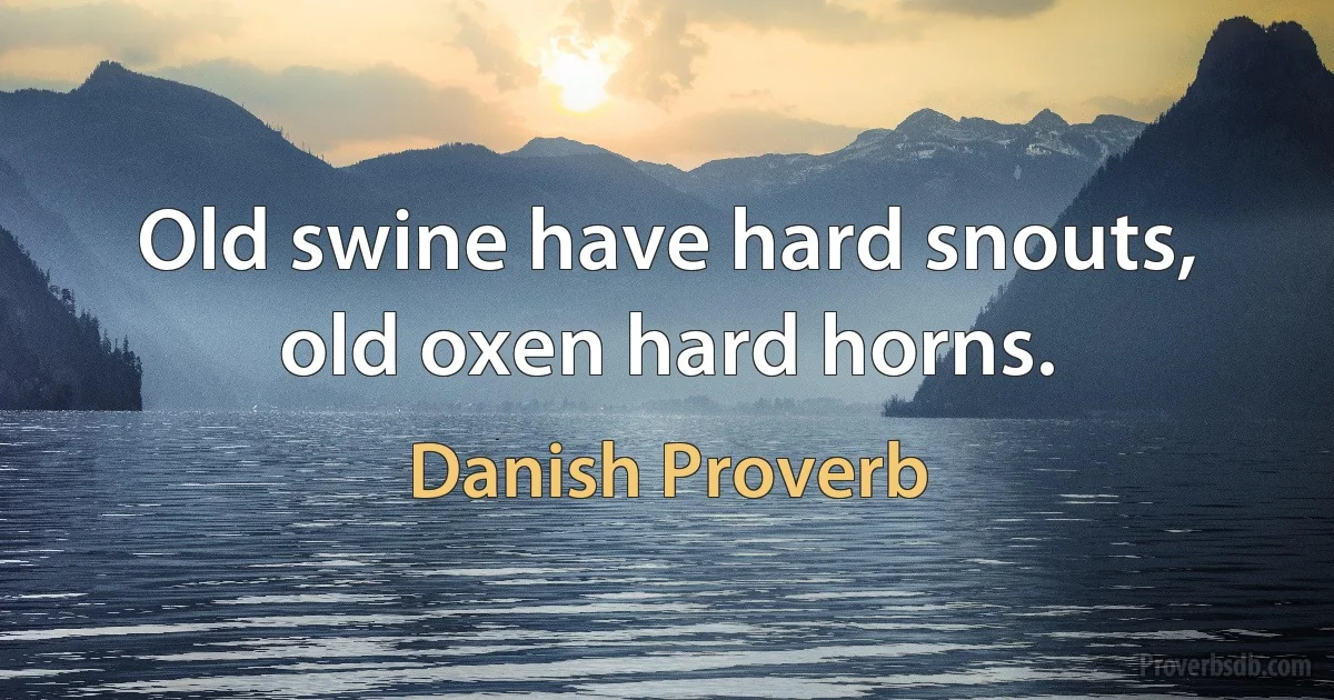 Old swine have hard snouts, old oxen hard horns. (Danish Proverb)