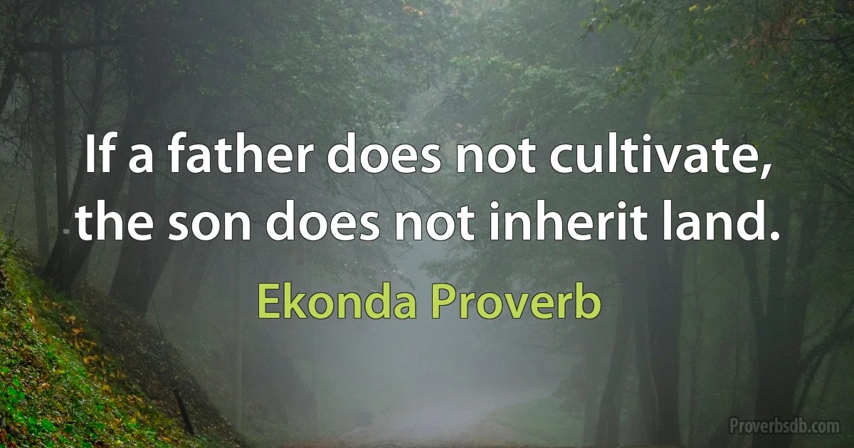 If a father does not cultivate, the son does not inherit land. (Ekonda Proverb)