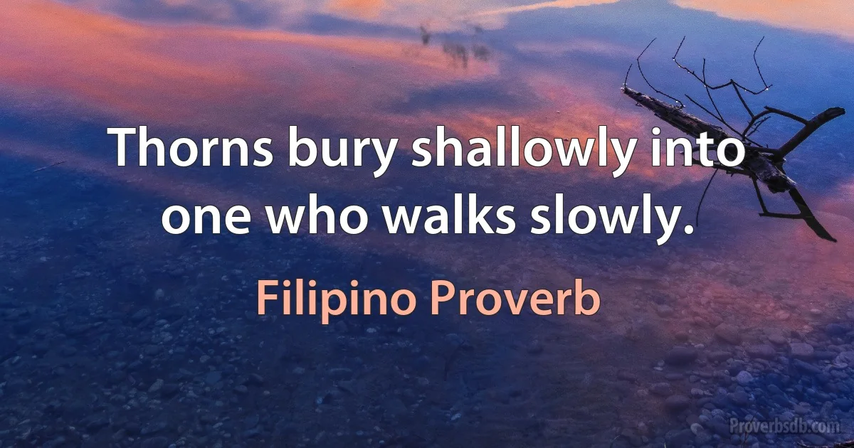 Thorns bury shallowly into one who walks slowly. (Filipino Proverb)