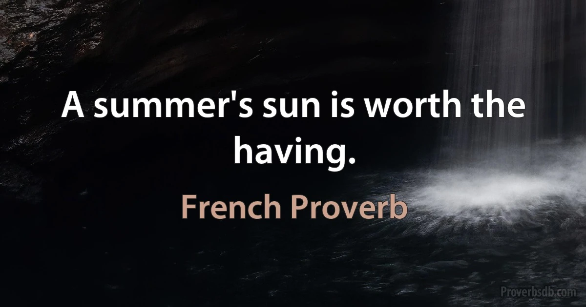 A summer's sun is worth the having. (French Proverb)