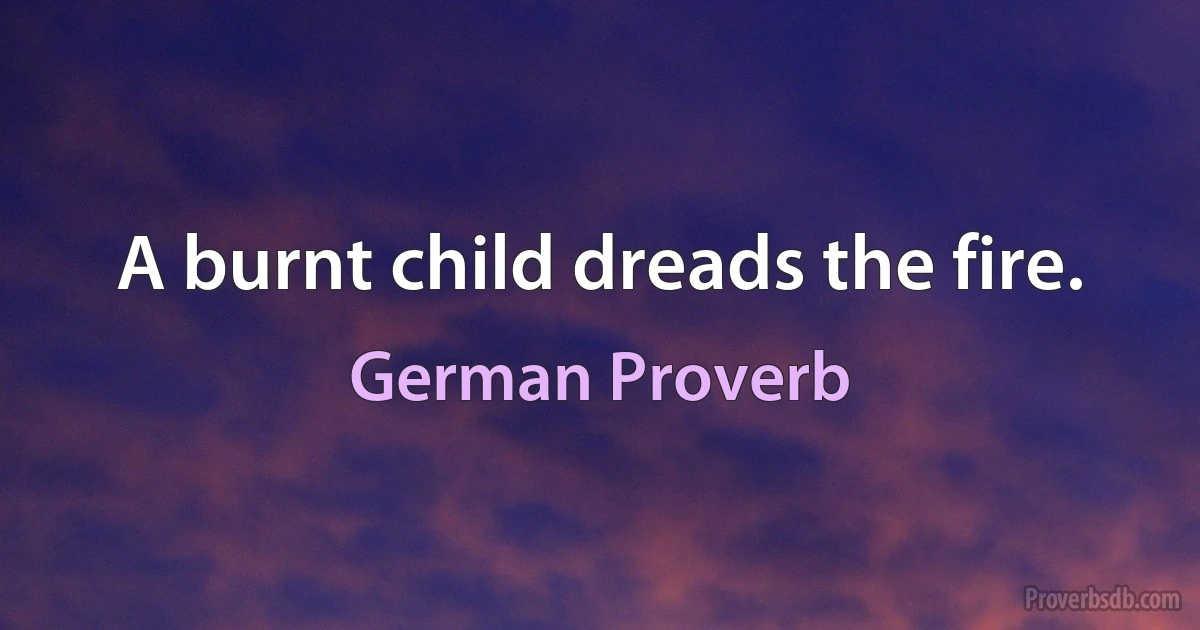 A burnt child dreads the fire. (German Proverb)