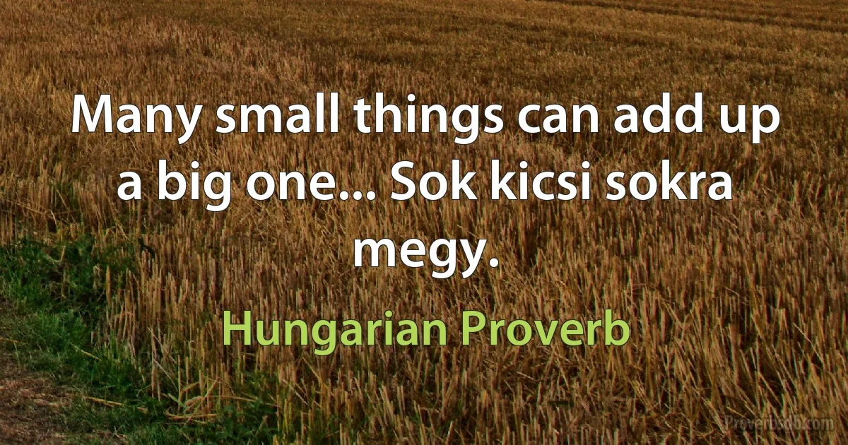 Many small things can add up a big one... Sok kicsi sokra megy. (Hungarian Proverb)