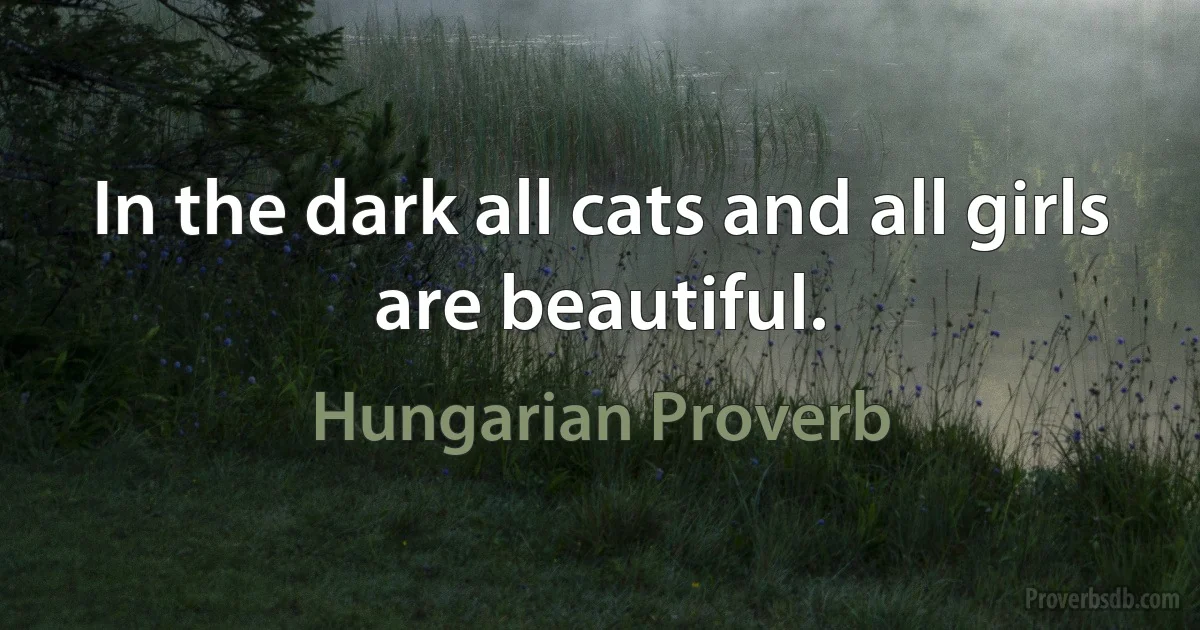 In the dark all cats and all girls are beautiful. (Hungarian Proverb)