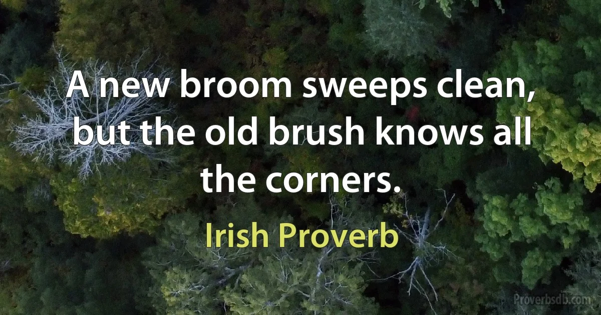 A new broom sweeps clean, but the old brush knows all the corners. (Irish Proverb)