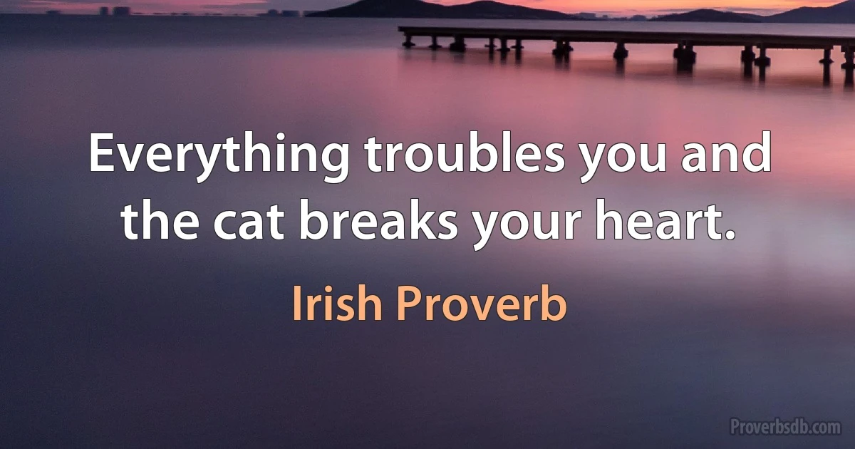 Everything troubles you and the cat breaks your heart. (Irish Proverb)