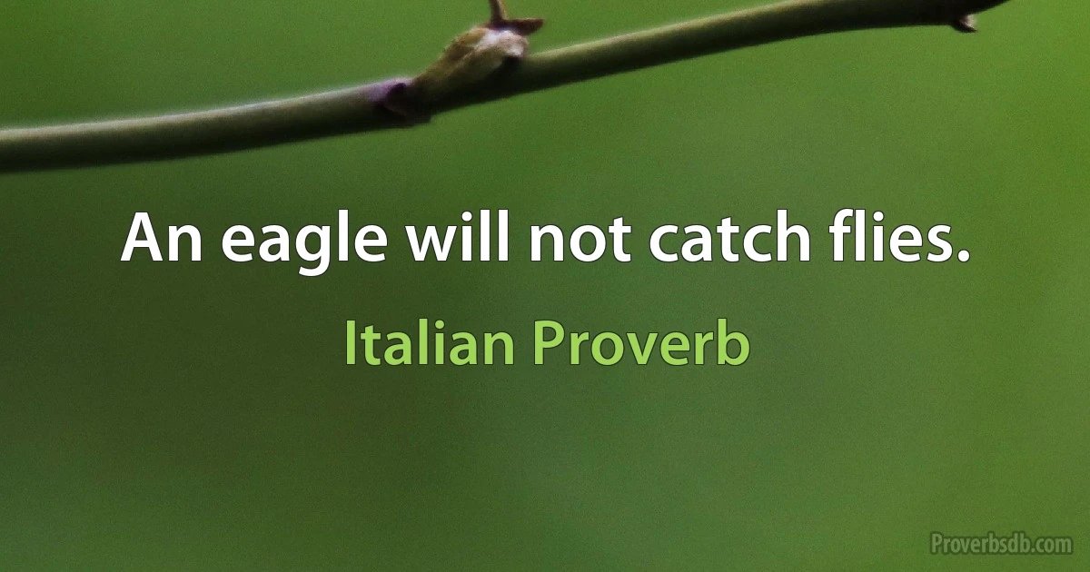 An eagle will not catch flies. (Italian Proverb)