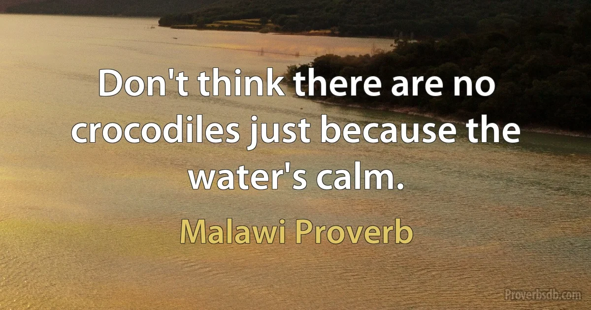 Don't think there are no crocodiles just because the water's calm. (Malawi Proverb)