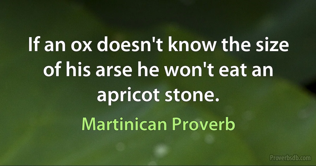 If an ox doesn't know the size of his arse he won't eat an apricot stone. (Martinican Proverb)