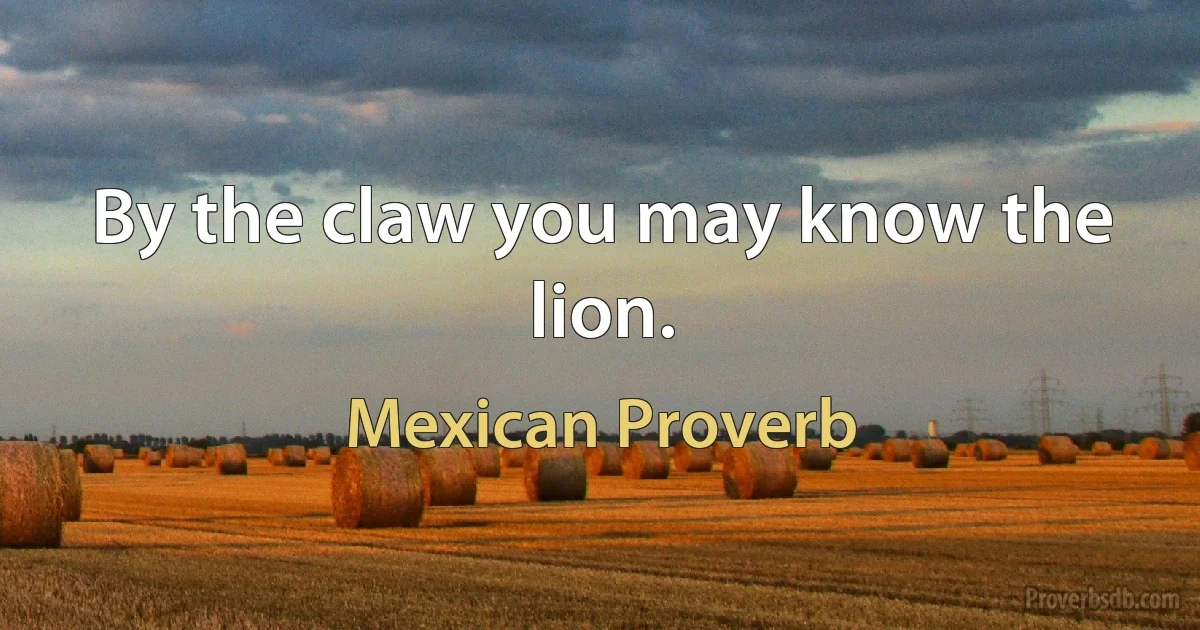 By the claw you may know the lion. (Mexican Proverb)