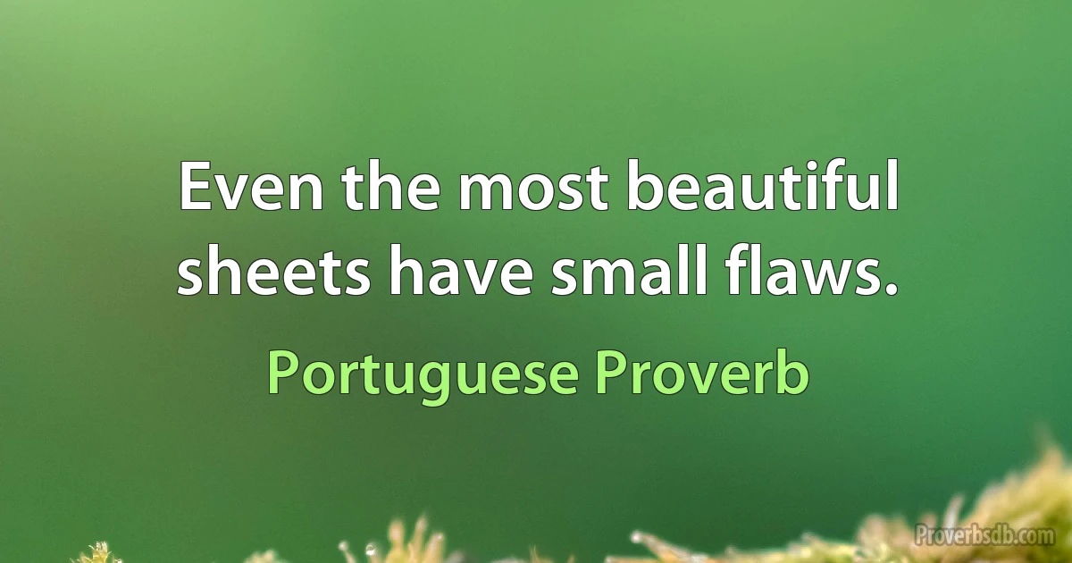 Even the most beautiful sheets have small flaws. (Portuguese Proverb)