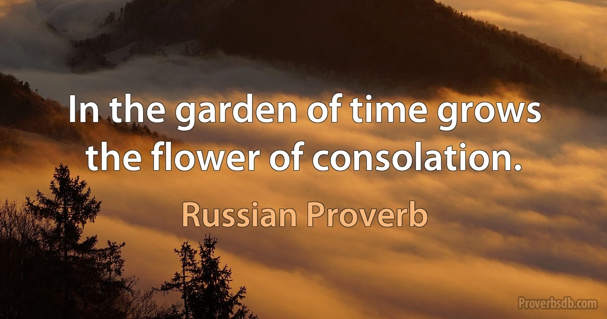 In the garden of time grows the flower of consolation. (Russian Proverb)