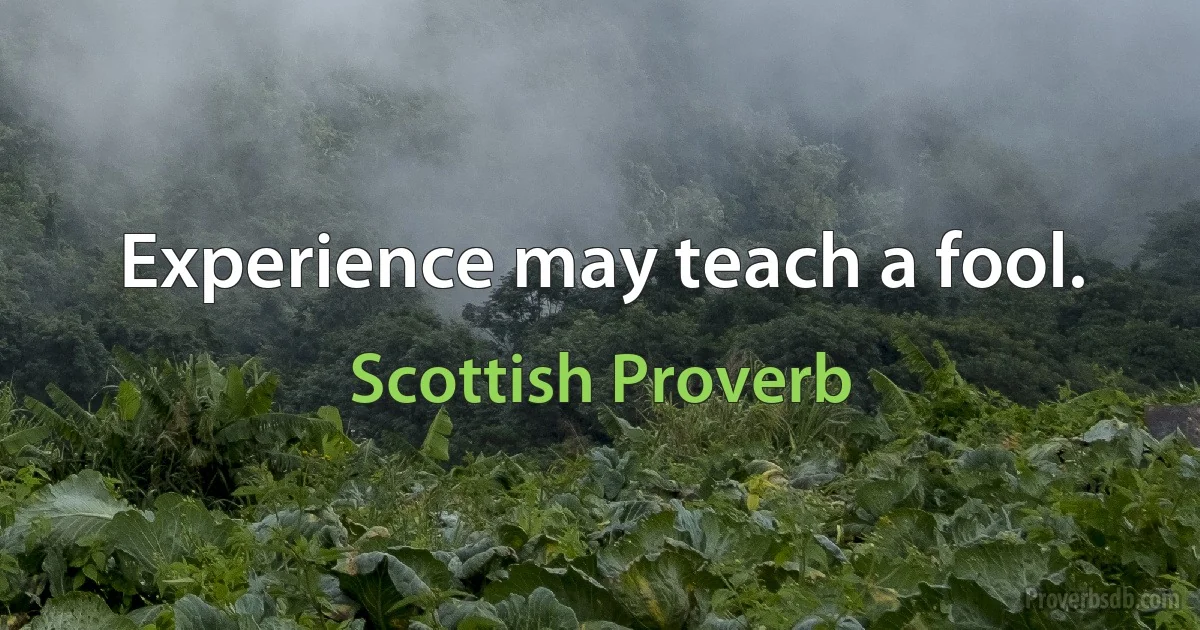 Experience may teach a fool. (Scottish Proverb)