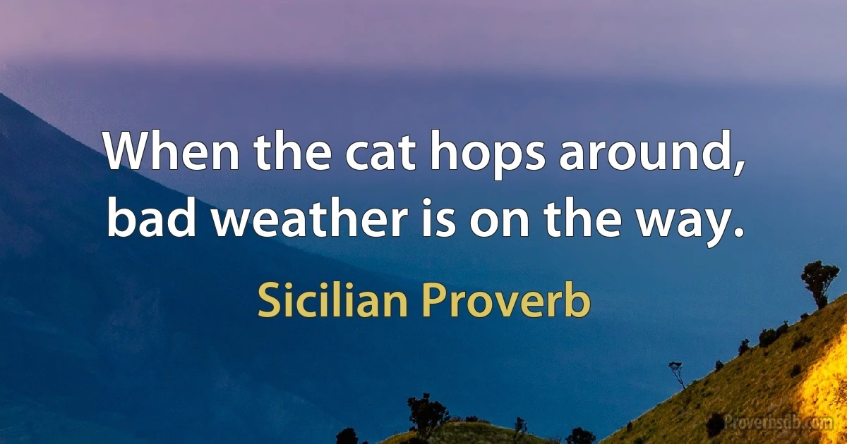 When the cat hops around, bad weather is on the way. (Sicilian Proverb)