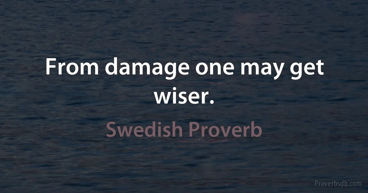 From damage one may get wiser. (Swedish Proverb)