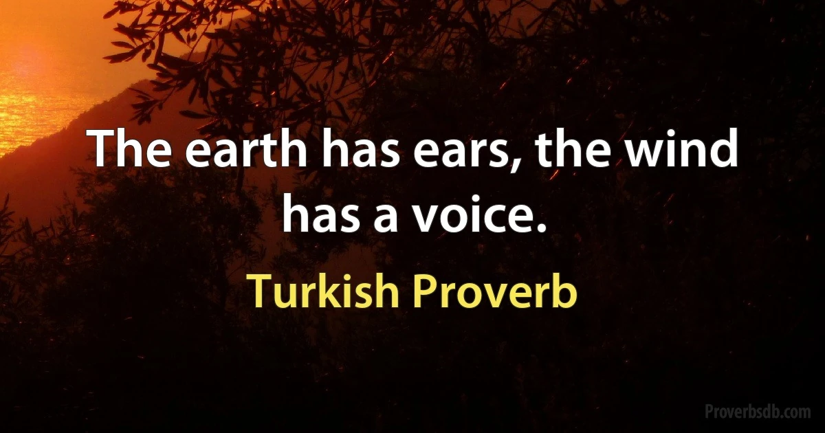 The earth has ears, the wind has a voice. (Turkish Proverb)