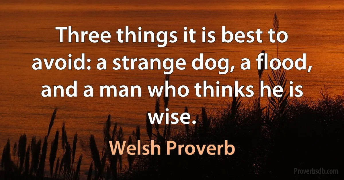 Three things it is best to avoid: a strange dog, a flood, and a man who thinks he is wise. (Welsh Proverb)