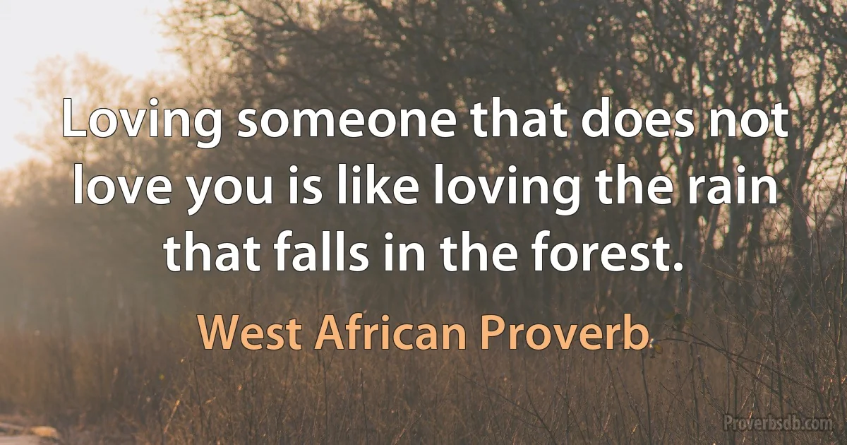 Loving someone that does not love you is like loving the rain that falls in the forest. (West African Proverb)