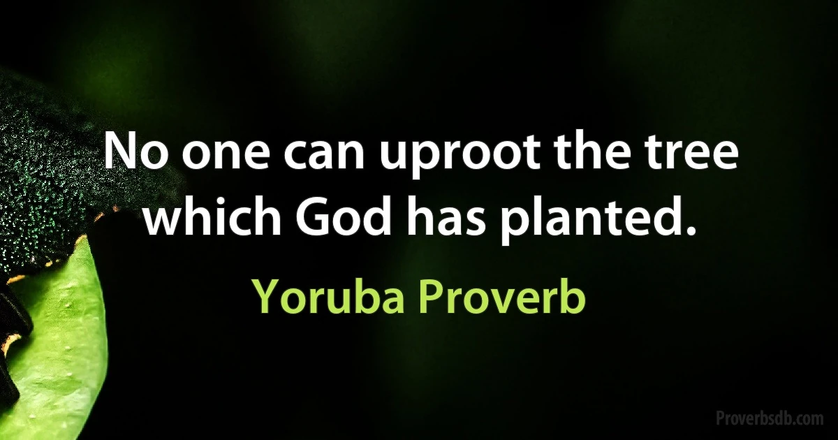 No one can uproot the tree which God has planted. (Yoruba Proverb)