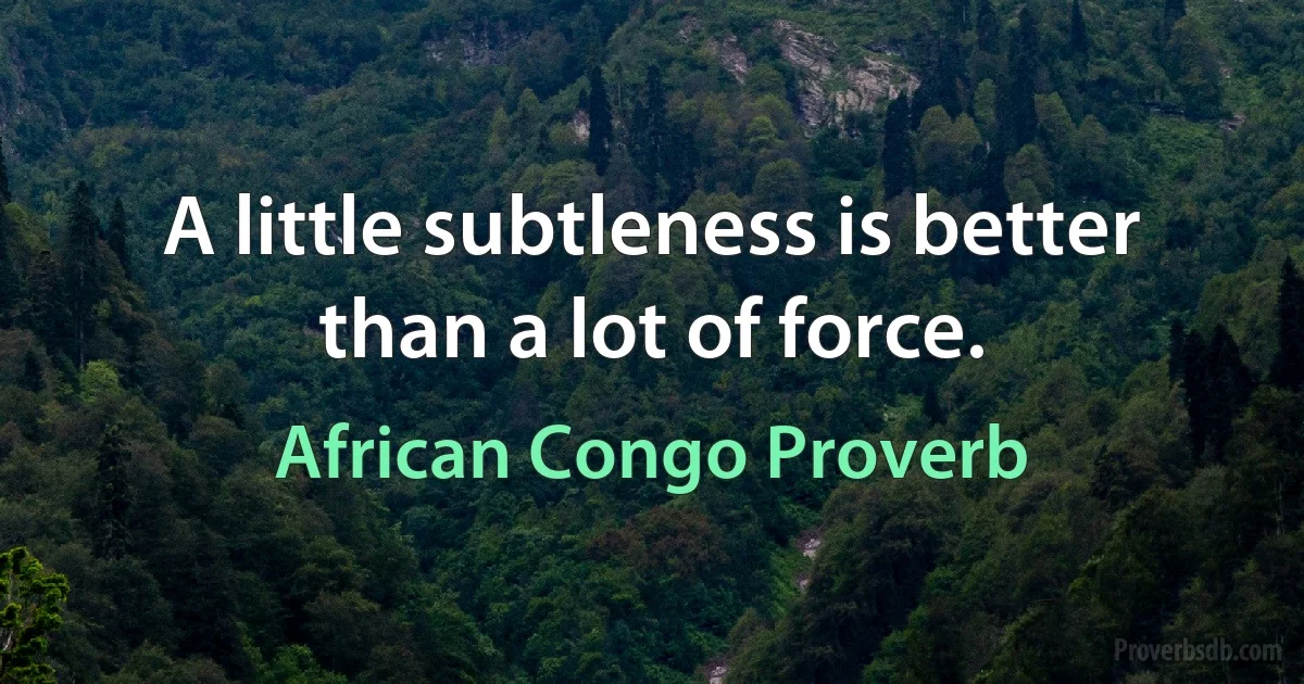 A little subtleness is better than a lot of force. (African Congo Proverb)