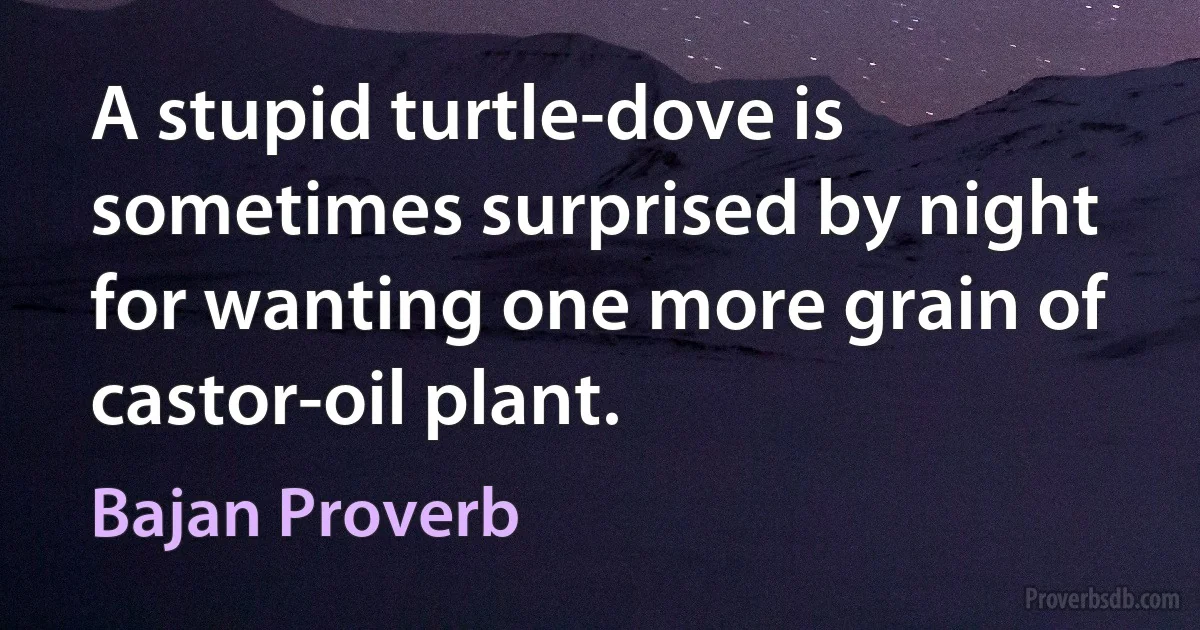 A stupid turtle-dove is sometimes surprised by night for wanting one more grain of castor-oil plant. (Bajan Proverb)