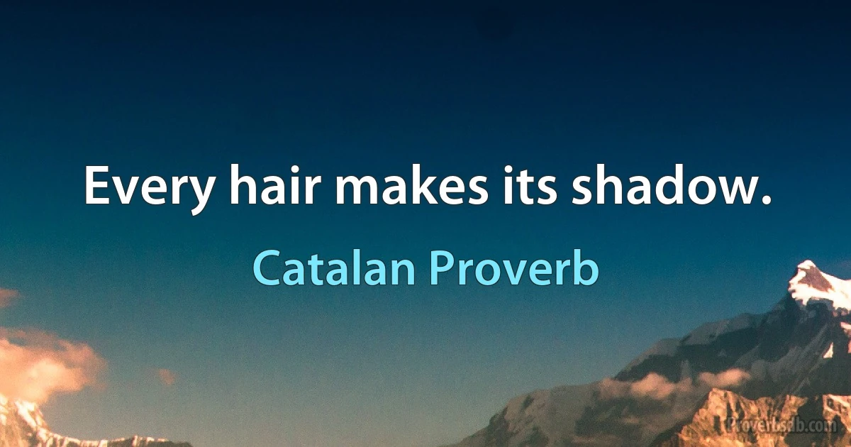 Every hair makes its shadow. (Catalan Proverb)