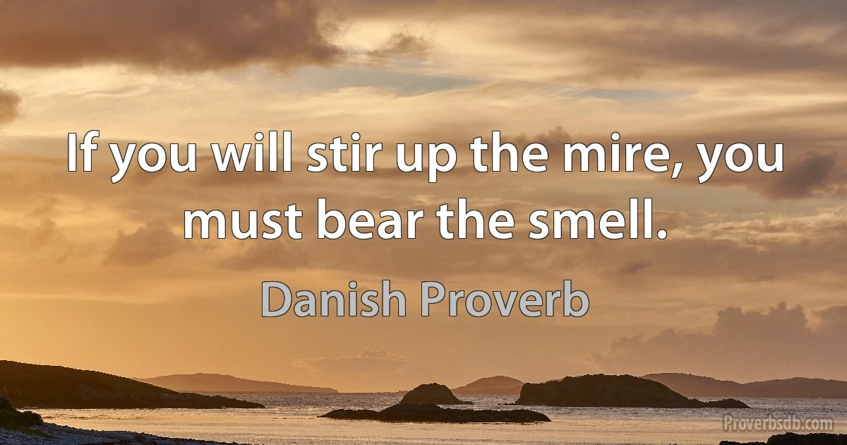 If you will stir up the mire, you must bear the smell. (Danish Proverb)