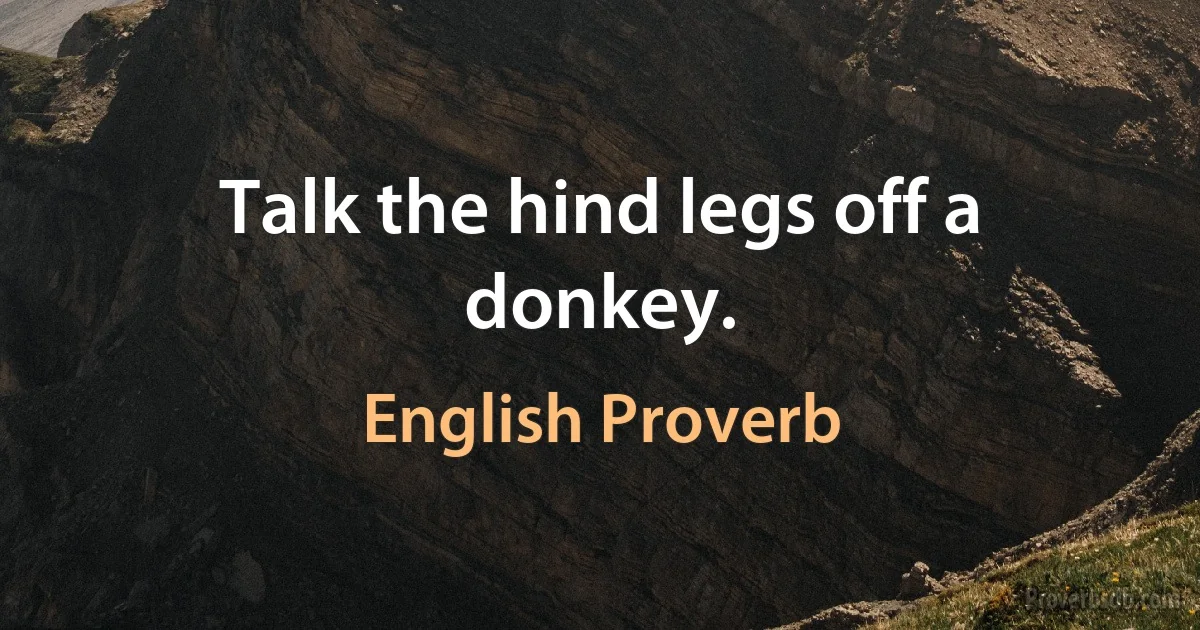 Talk the hind legs off a donkey. (English Proverb)