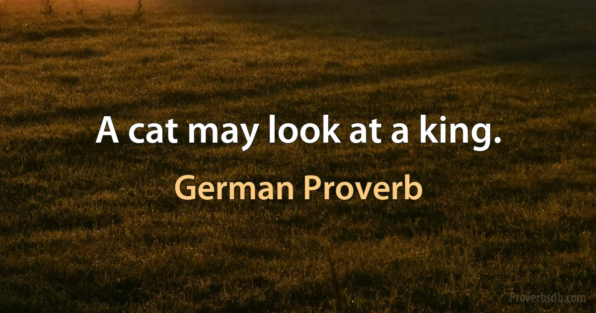 A cat may look at a king. (German Proverb)