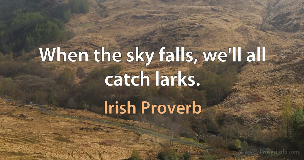 When the sky falls, we'll all catch larks. (Irish Proverb)