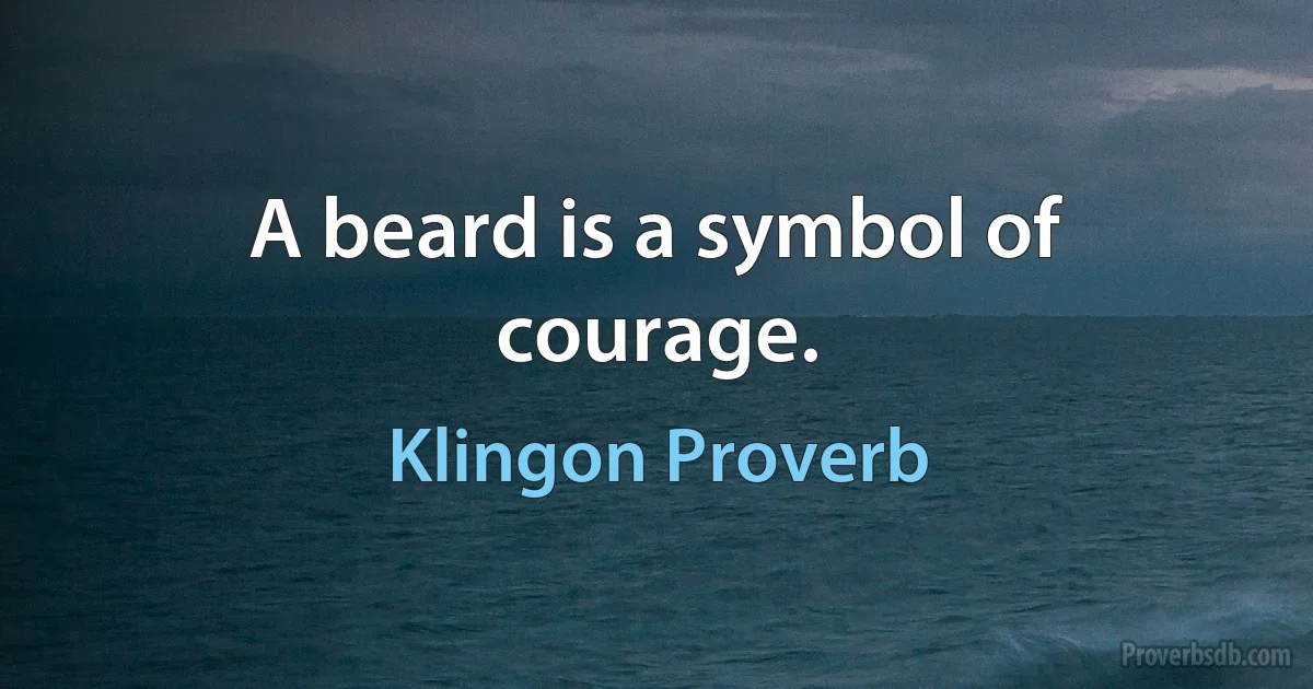 A beard is a symbol of courage. (Klingon Proverb)