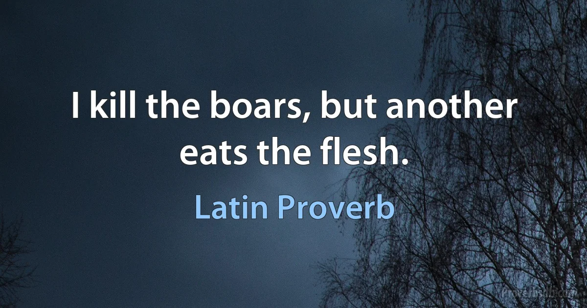 I kill the boars, but another eats the flesh. (Latin Proverb)