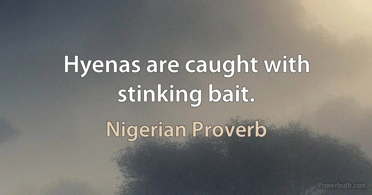 Hyenas are caught with stinking bait. (Nigerian Proverb)