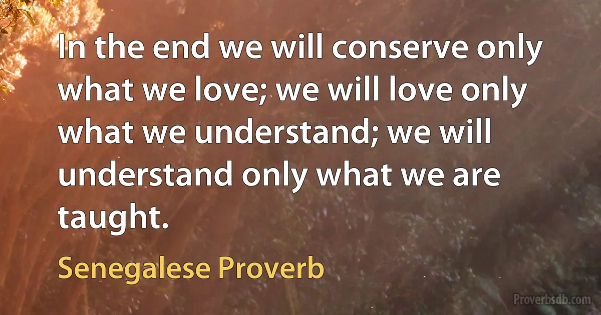 In the end we will conserve only what we love; we will love only what we understand; we will understand only what we are taught. (Senegalese Proverb)