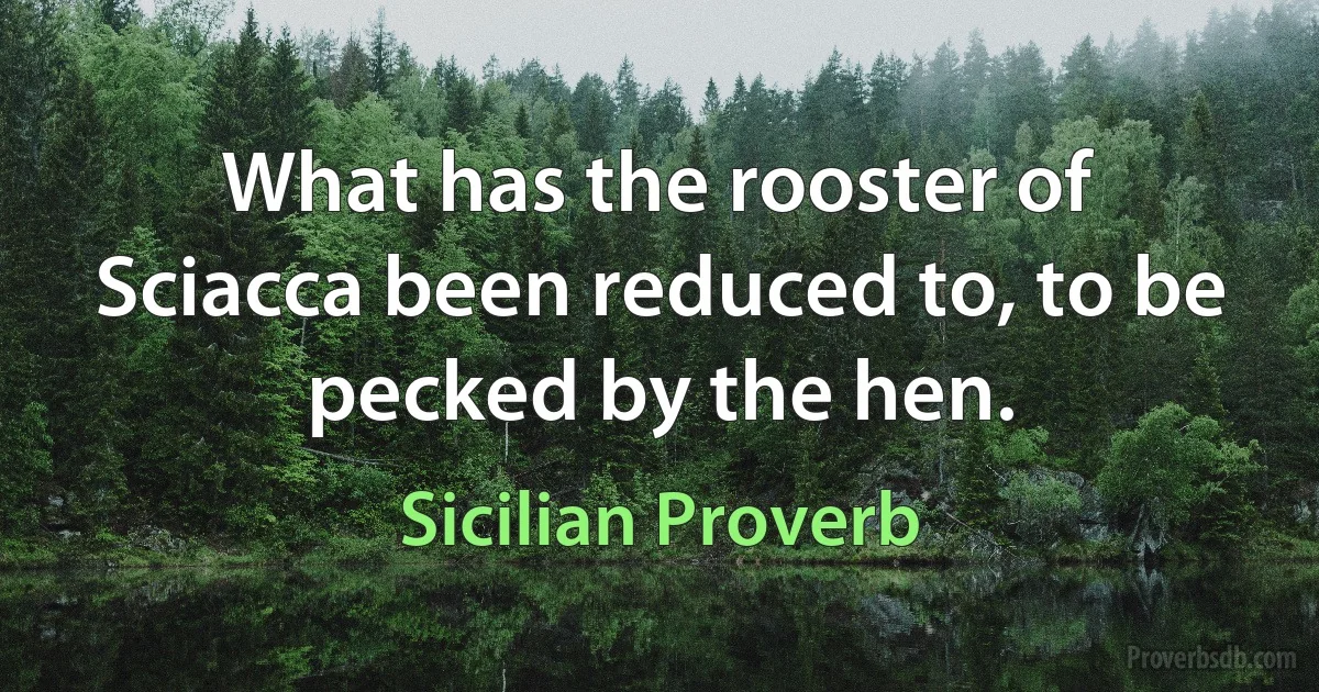 What has the rooster of Sciacca been reduced to, to be pecked by the hen. (Sicilian Proverb)