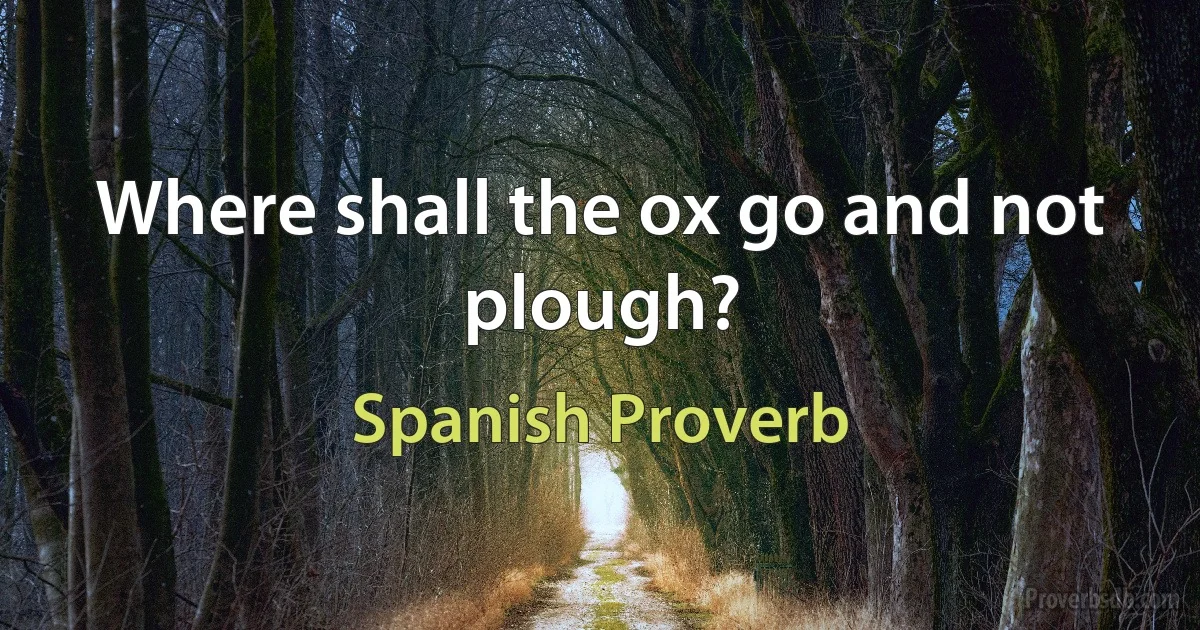 Where shall the ox go and not plough? (Spanish Proverb)