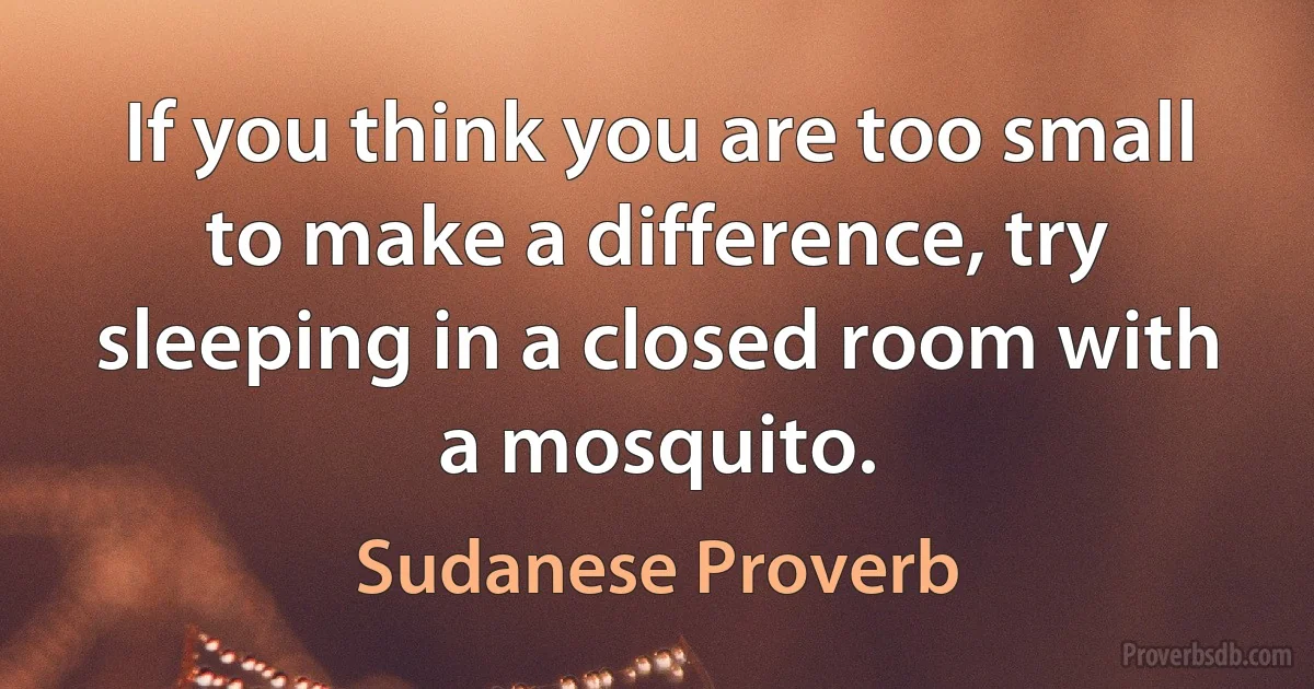 If you think you are too small to make a difference, try sleeping in a closed room with a mosquito. (Sudanese Proverb)