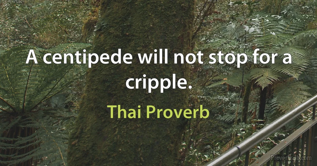 A centipede will not stop for a cripple. (Thai Proverb)