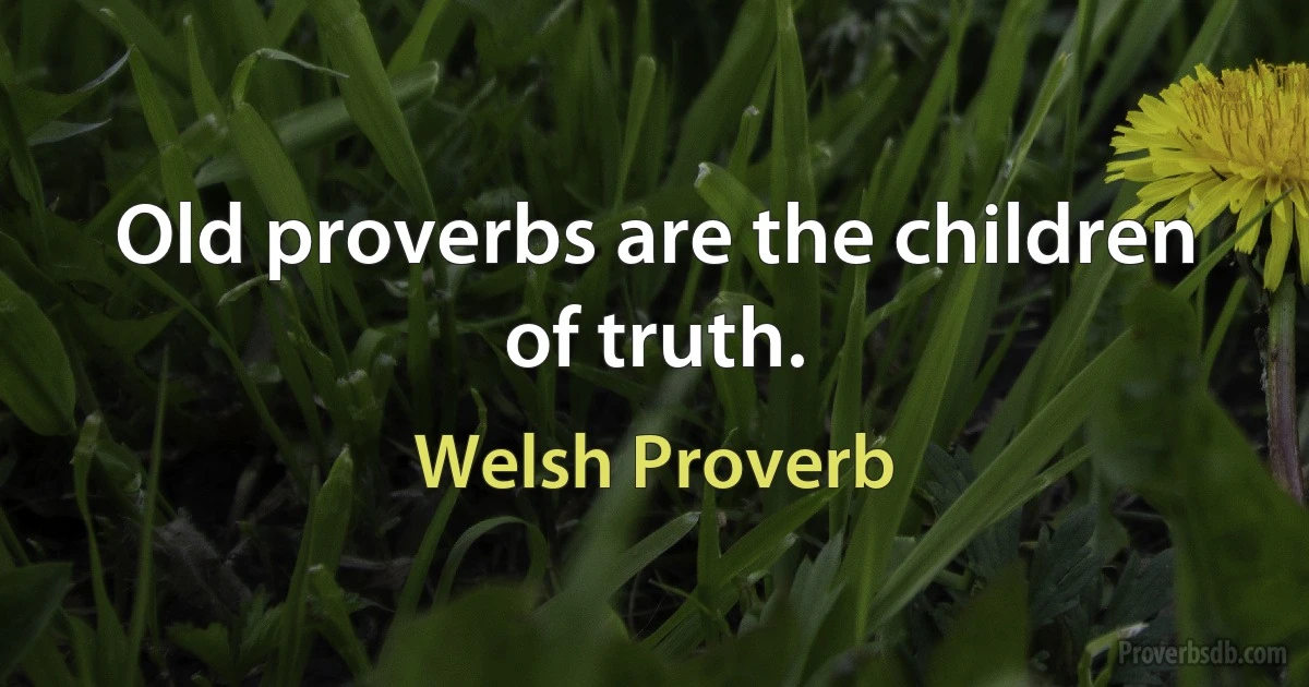 Old proverbs are the children of truth. (Welsh Proverb)