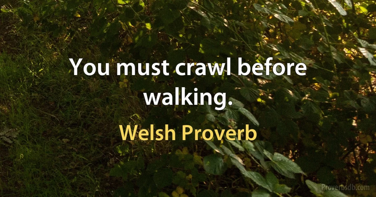 You must crawl before walking. (Welsh Proverb)