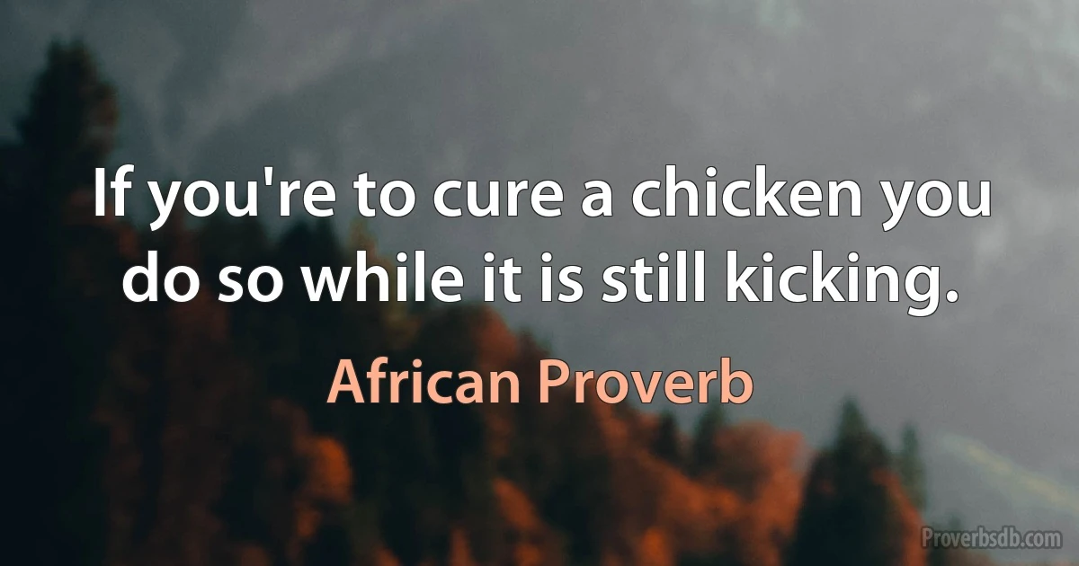 If you're to cure a chicken you do so while it is still kicking. (African Proverb)