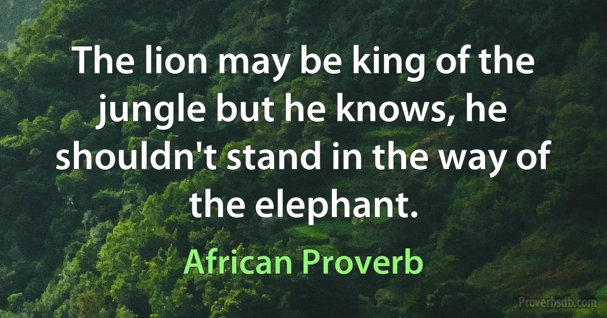 The lion may be king of the jungle but he knows, he shouldn't stand in the way of the elephant. (African Proverb)