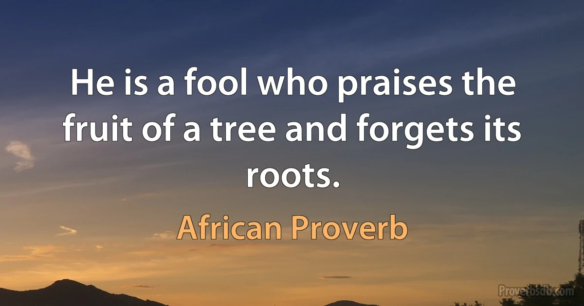 He is a fool who praises the fruit of a tree and forgets its roots. (African Proverb)