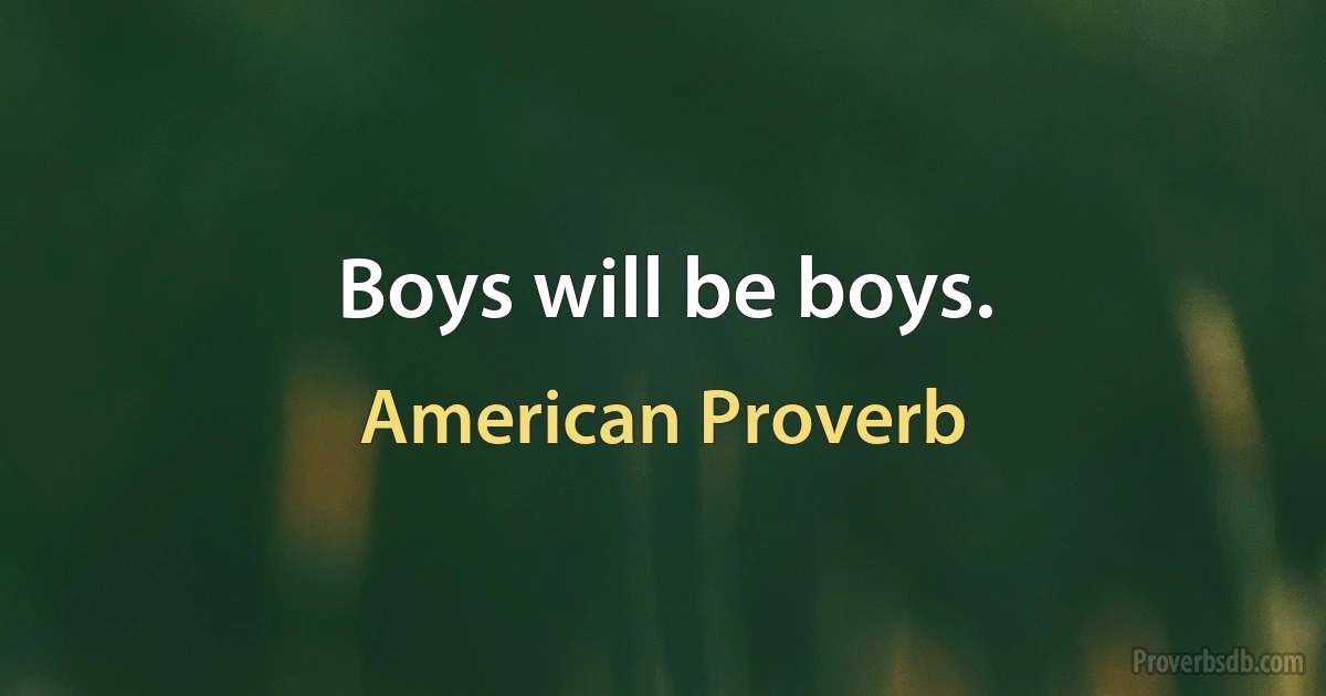 Boys will be boys. (American Proverb)