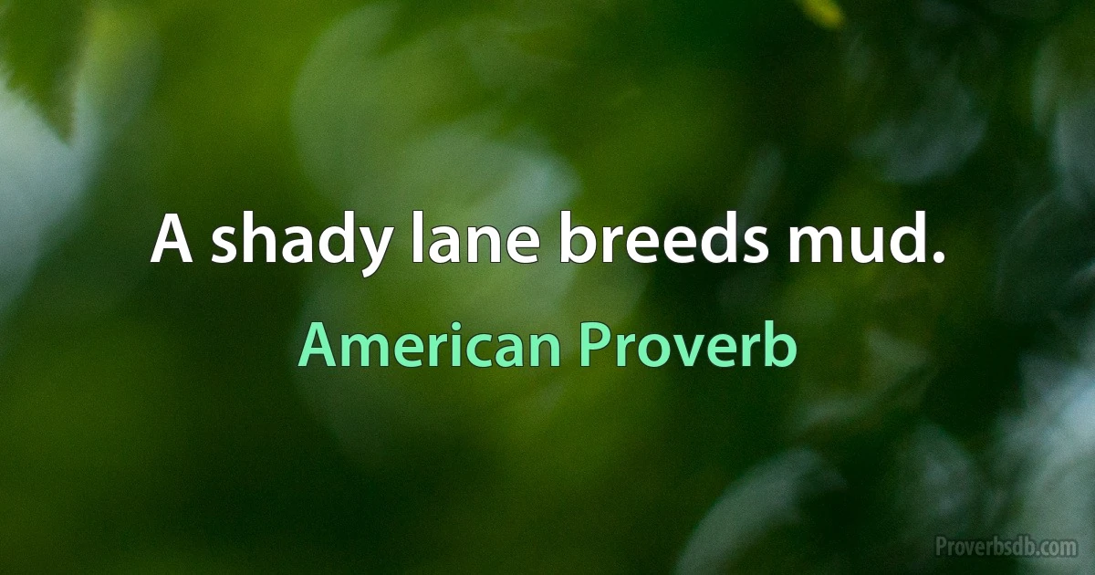 A shady lane breeds mud. (American Proverb)