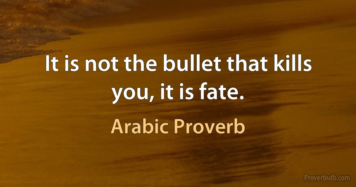 It is not the bullet that kills you, it is fate. (Arabic Proverb)