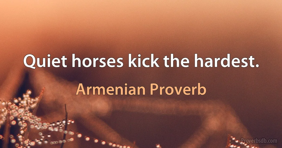 Quiet horses kick the hardest. (Armenian Proverb)