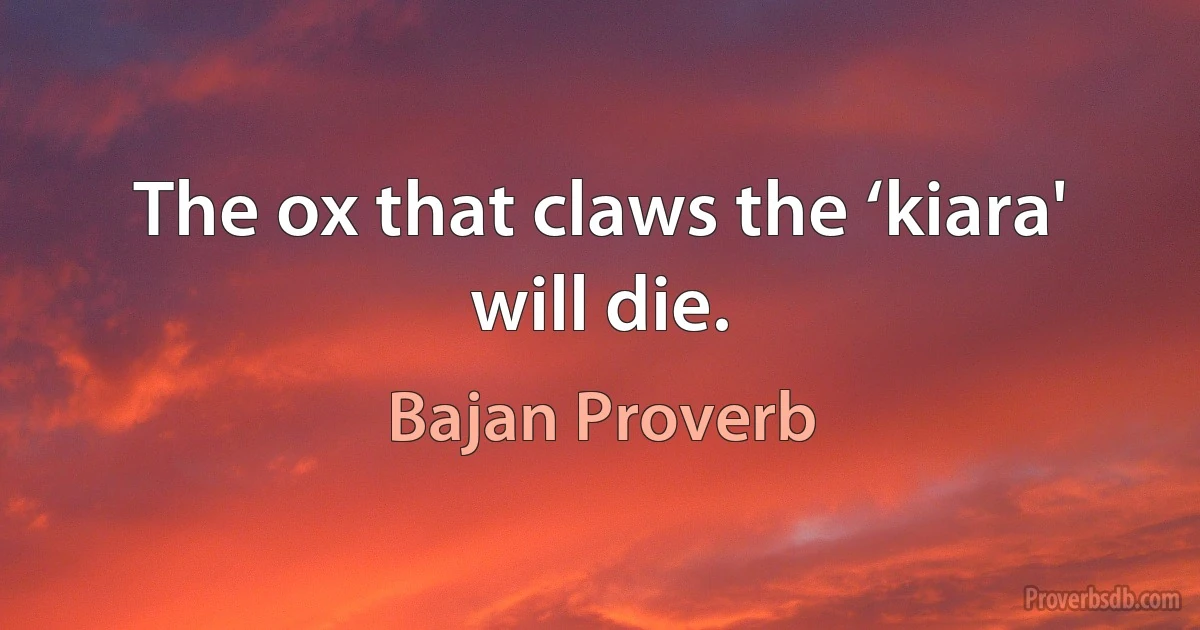 The ox that claws the ‘kiara' will die. (Bajan Proverb)