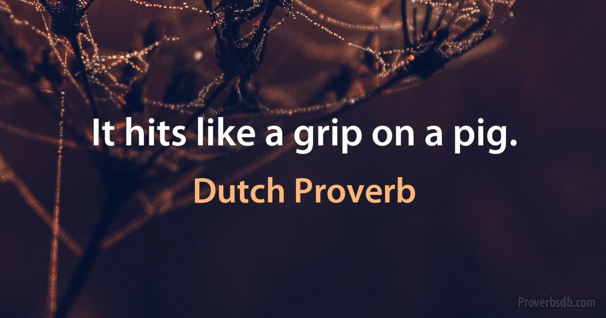 It hits like a grip on a pig. (Dutch Proverb)