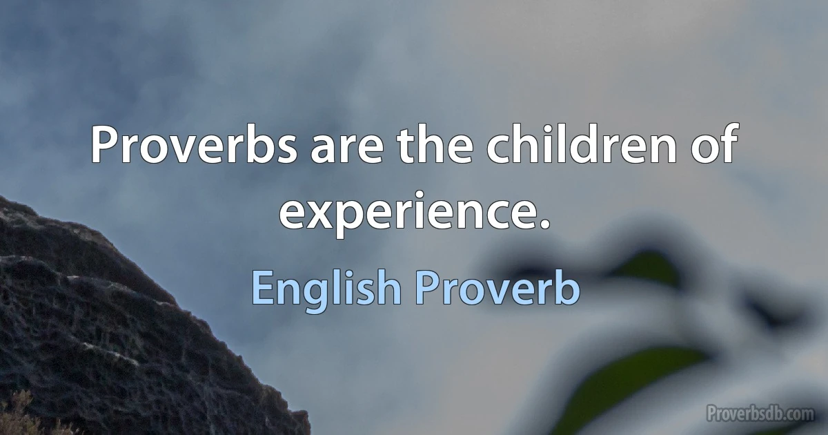 Proverbs are the children of experience. (English Proverb)